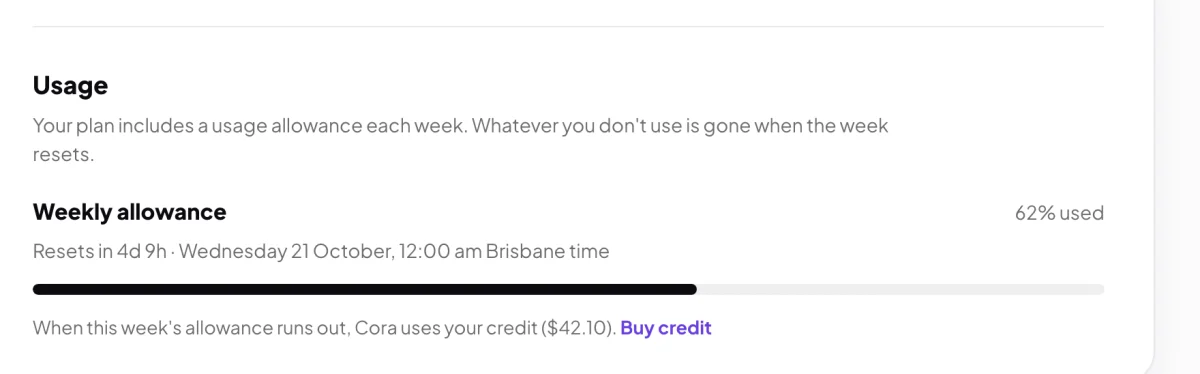 The Usage section of My Plan & Usage on Pro: the Weekly allowance meter at 62% used, the line Resets in 4d with the day and 12:00 am Brisbane time, and the line under the bar about the credit; the meter heading with its reset line, and the line under the bar, are outlined.